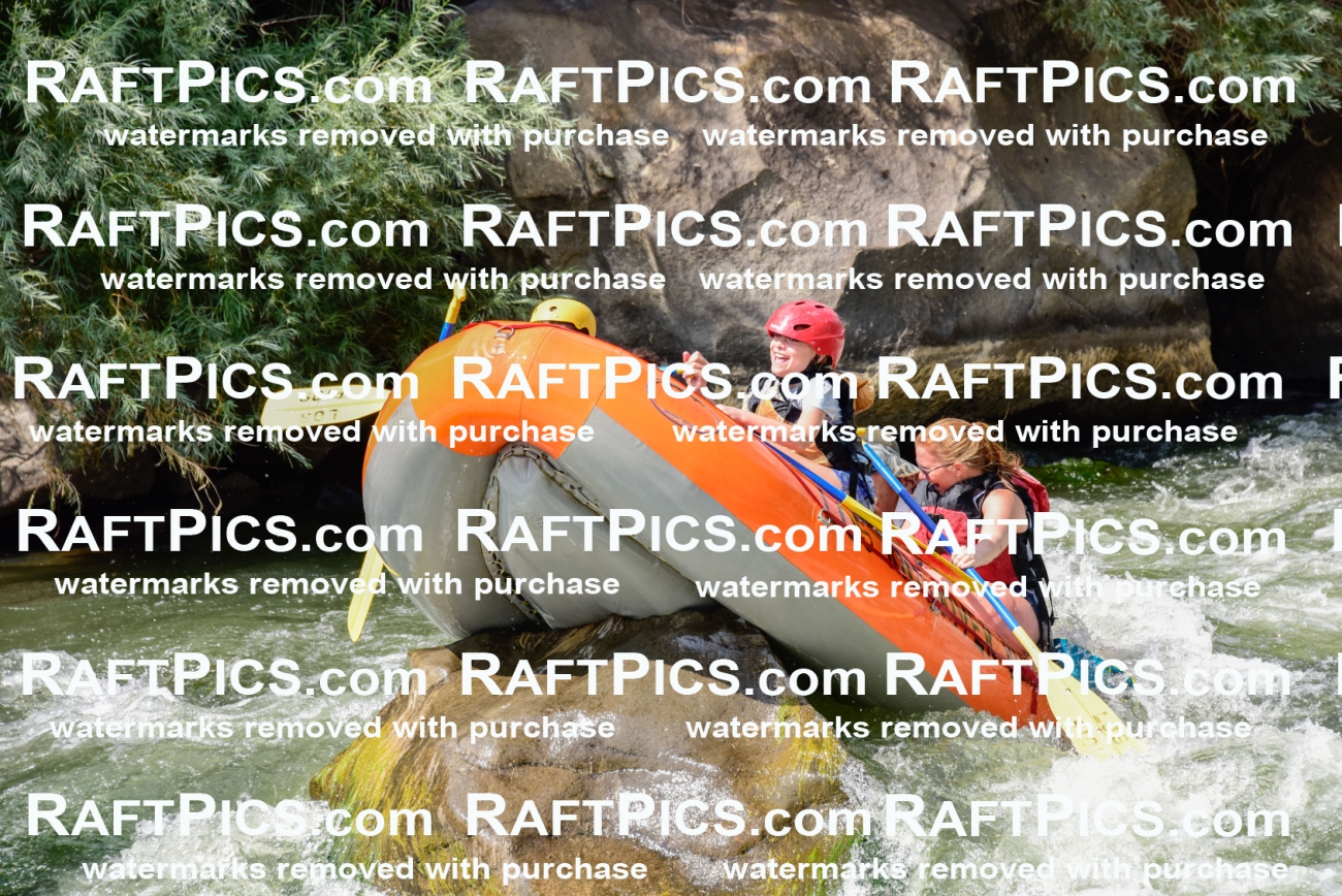 005520_July-24_Los-Rios_RAFTPICS_Racecourse-PM_LANate