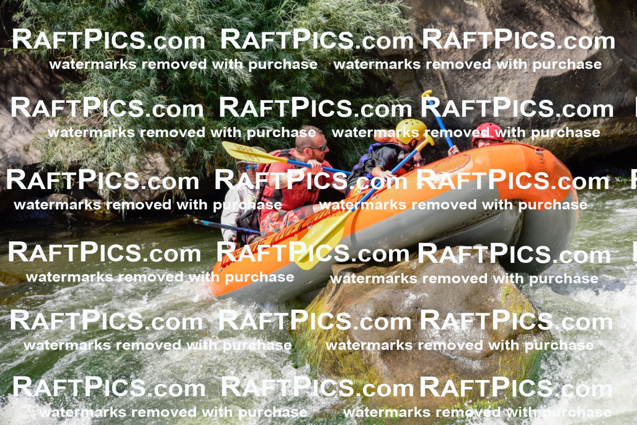 005523_July-24_Los-Rios_RAFTPICS_Racecourse-PM_LANate