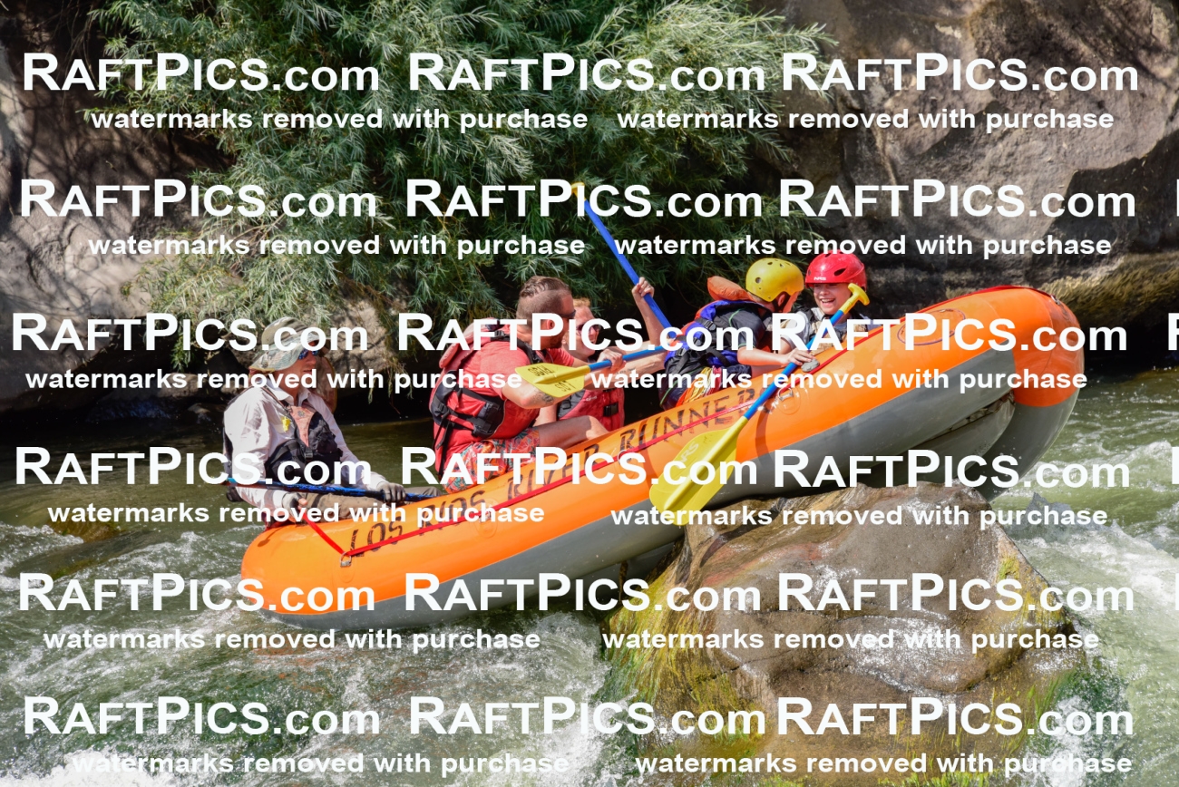 005525_July-24_Los-Rios_RAFTPICS_Racecourse-PM_LANate