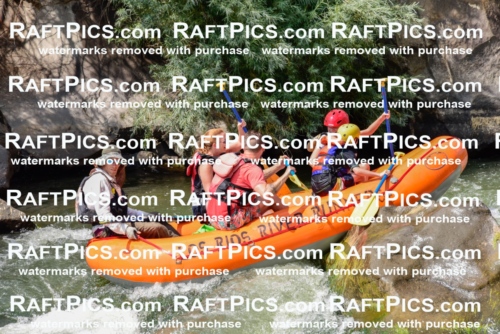 005527_July-24_Los-Rios_RAFTPICS_Racecourse-PM_LANate