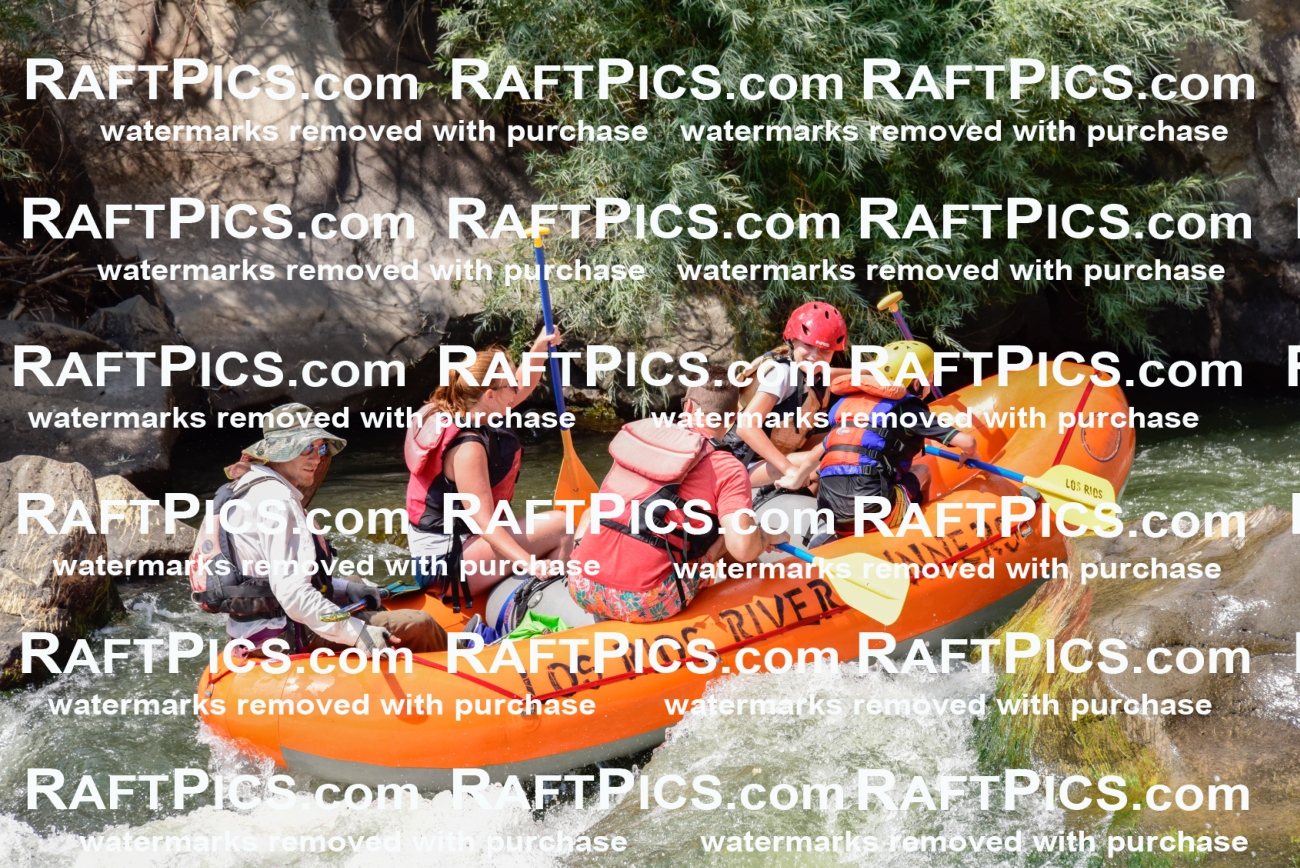 005528_July-24_Los-Rios_RAFTPICS_Racecourse-PM_LANate