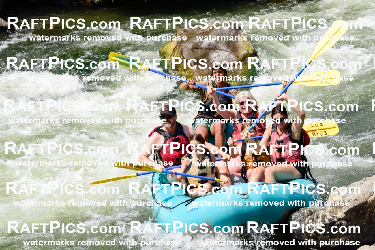 005492_July-24_Los-Rios_RAFTPICS_Racecourse-PM_LAMichael