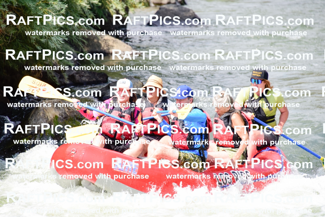 005417_July-24_Los-Rios_RAFTPICS_Racecourse-PM_LAJackson