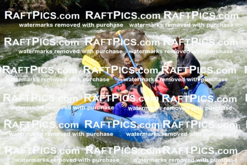 005405_July-24_Los-Rios_RAFTPICS_Racecourse-PM_LABrodie