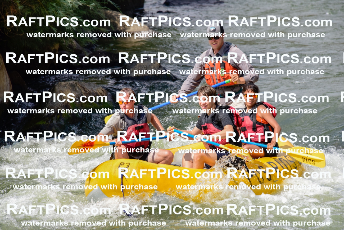 005368_July-24_Los-Rios_RAFTPICS_Racecourse-PM_LABridger