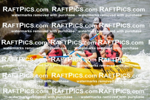 005369_July-24_Los-Rios_RAFTPICS_Racecourse-PM_LABridger