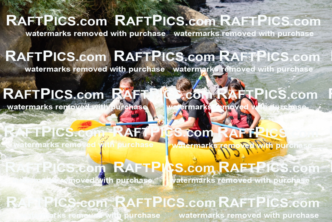 005371_July-24_Los-Rios_RAFTPICS_Racecourse-PM_LABridger