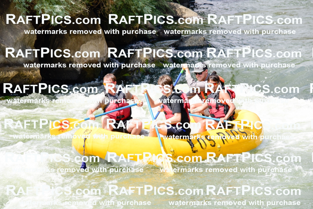 005372_July-24_Los-Rios_RAFTPICS_Racecourse-PM_LABridger