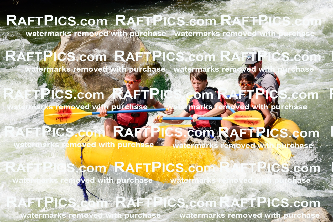 005379_July-24_Los-Rios_RAFTPICS_Racecourse-PM_LABridger