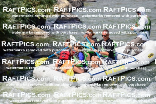 005329_July-24_Big-River_RAFTPICS_Racecourse-PM_LAMigs