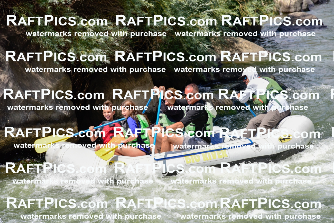 005334_July-24_Big-River_RAFTPICS_Racecourse-PM_LAMigs