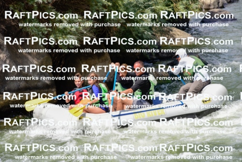 005334_July-24_Big-River_RAFTPICS_Racecourse-PM_LAMigs