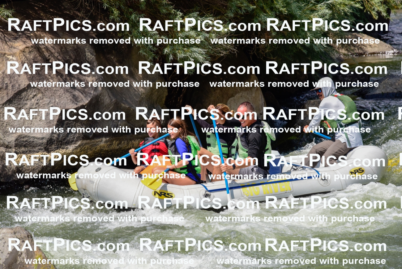 005335_July-24_Big-River_RAFTPICS_Racecourse-PM_LAMigs