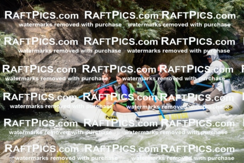 005336_July-24_Big-River_RAFTPICS_Racecourse-PM_LAMigs