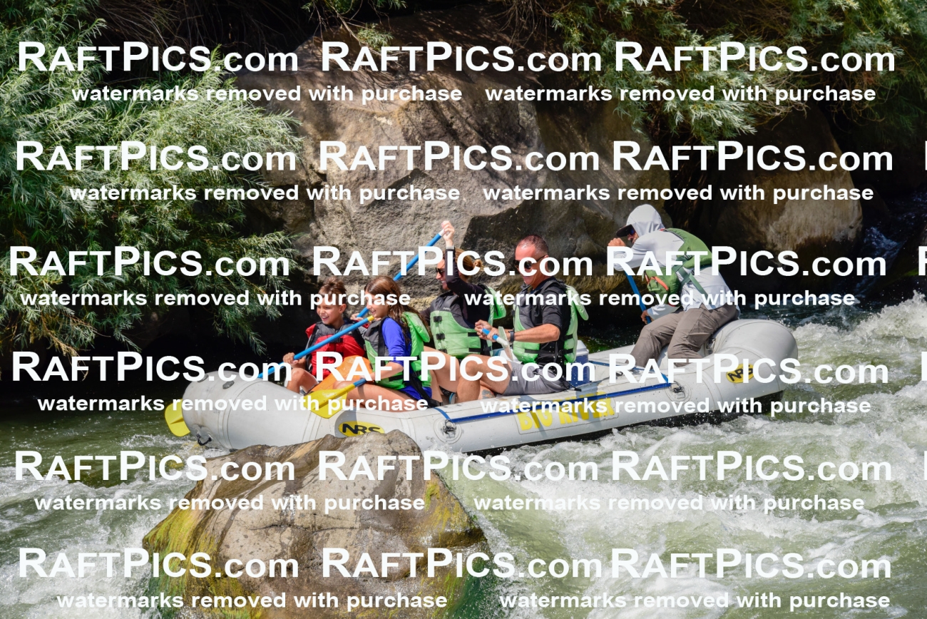 005338_July-24_Big-River_RAFTPICS_Racecourse-PM_LAMigs