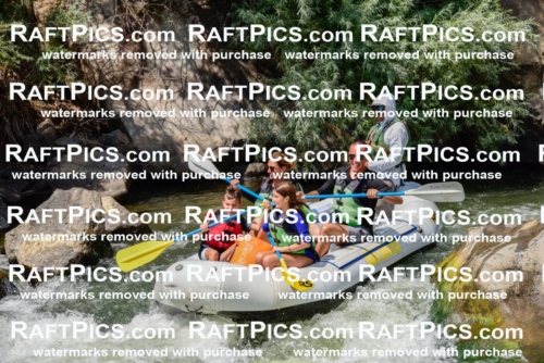 005342_July-24_Big-River_RAFTPICS_Racecourse-PM_LAMigs