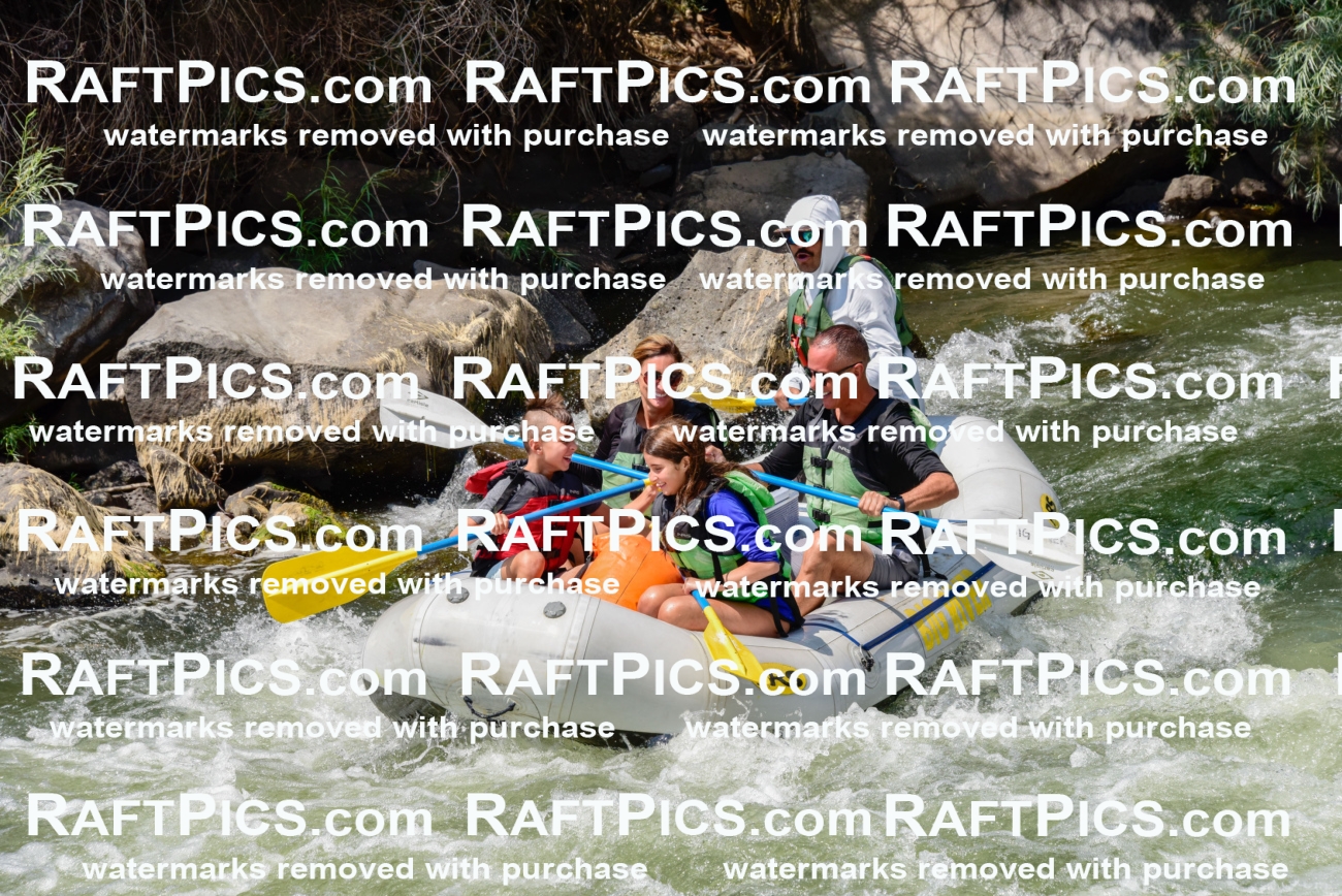 005346_July-24_Big-River_RAFTPICS_Racecourse-PM_LAMigs