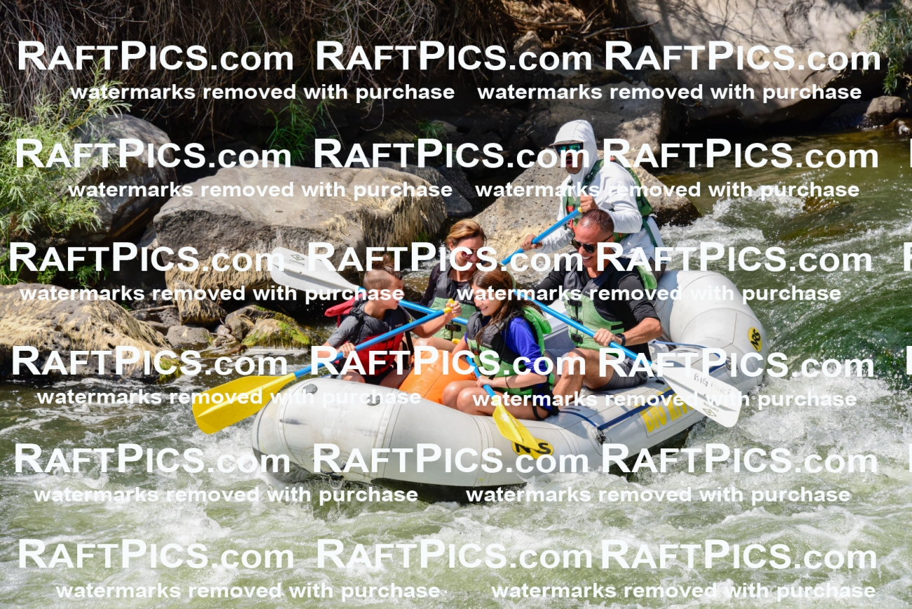 005347_July-24_Big-River_RAFTPICS_Racecourse-PM_LAMigs