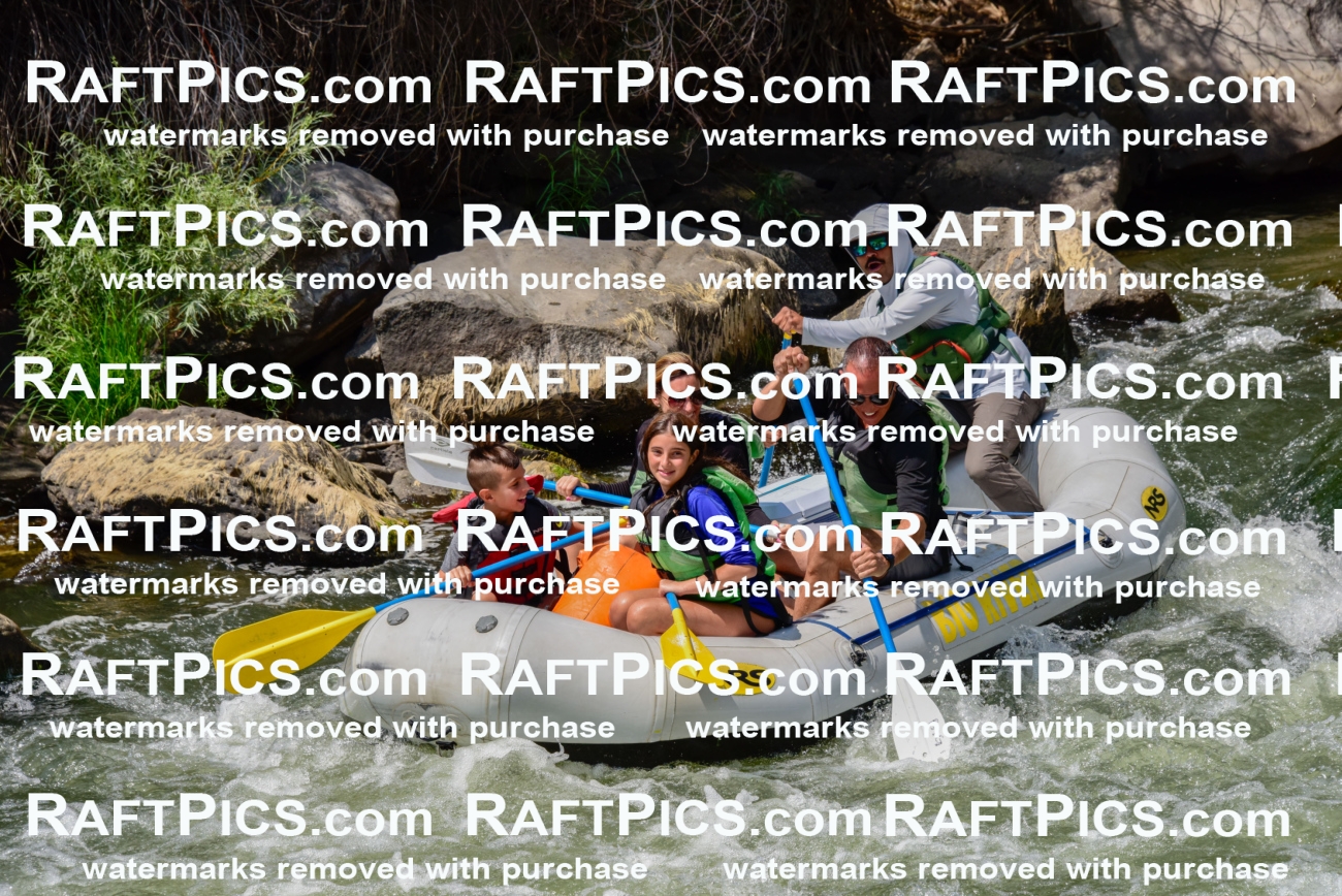 005348_July-24_Big-River_RAFTPICS_Racecourse-PM_LAMigs