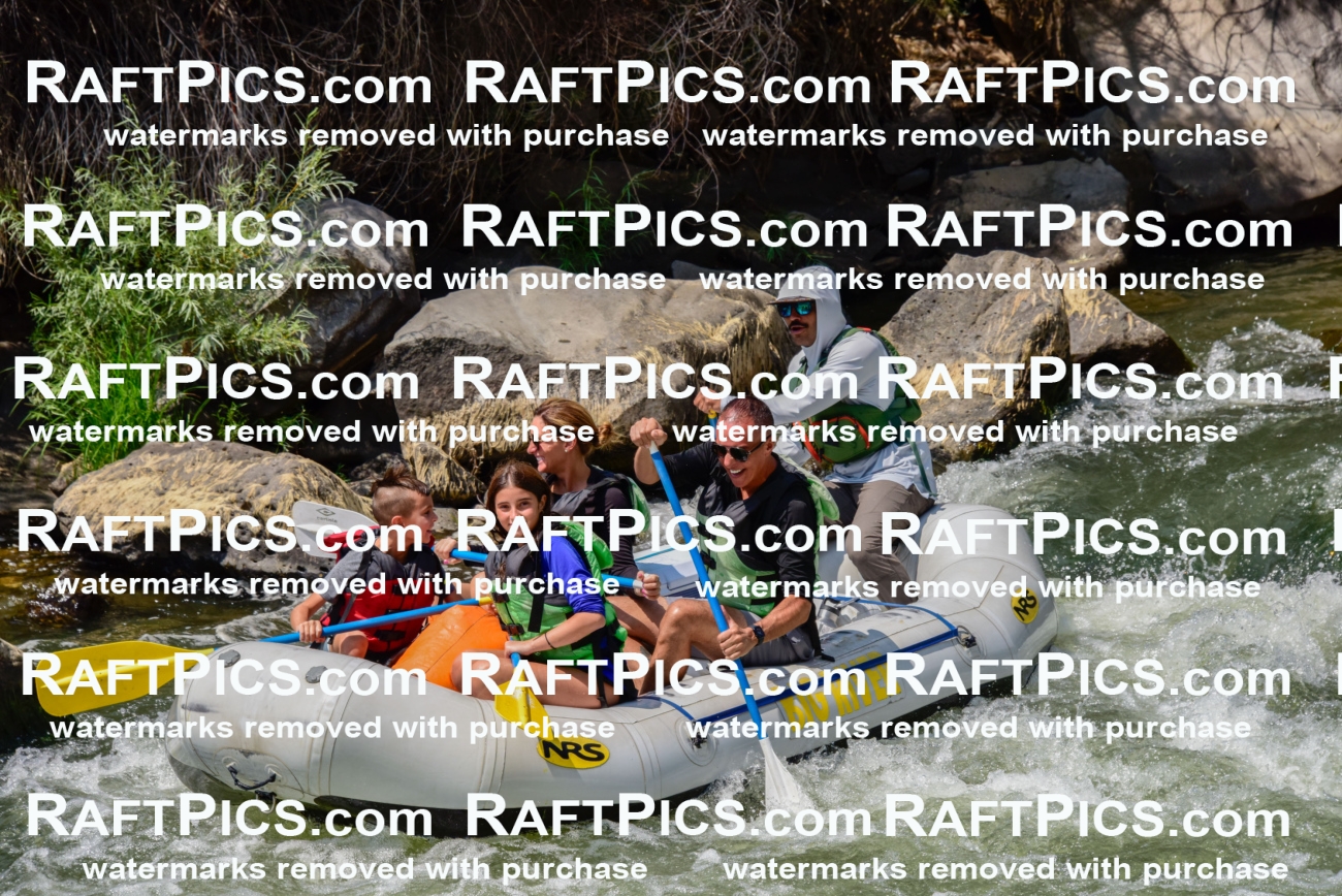 005349_July-24_Big-River_RAFTPICS_Racecourse-PM_LAMigs