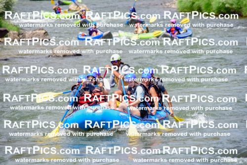 005774_July-24_New-Wave_RAFTPICS_Racecourse-PM_LAOrlando