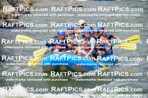 005776_July-24_New-Wave_RAFTPICS_Racecourse-PM_LAOrlando