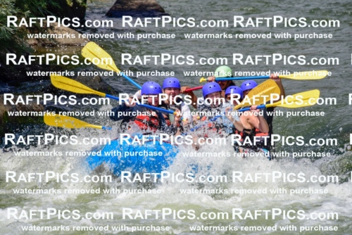 005780_July-24_New-Wave_RAFTPICS_Racecourse-PM_LAOrlando