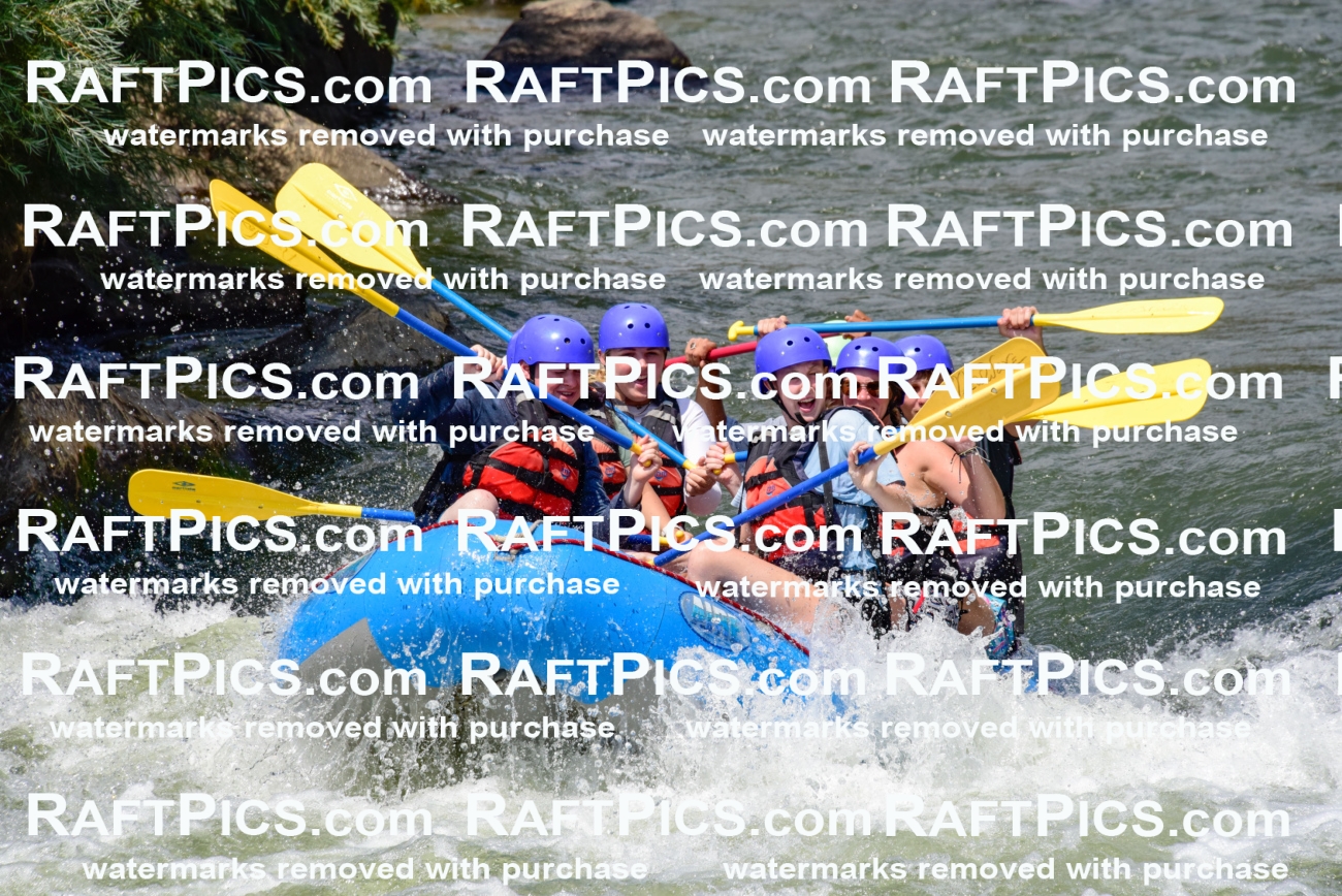 005781_July-24_New-Wave_RAFTPICS_Racecourse-PM_LAOrlando