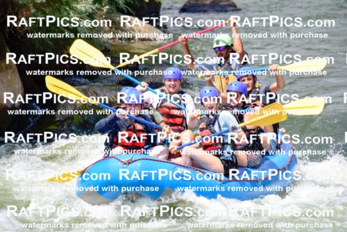 005782_July-24_New-Wave_RAFTPICS_Racecourse-PM_LAOrlando