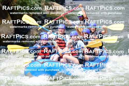 005783_July-24_New-Wave_RAFTPICS_Racecourse-PM_LAOrlando