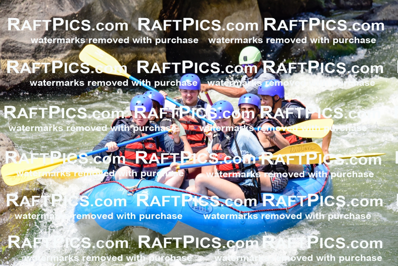 005787_July-24_New-Wave_RAFTPICS_Racecourse-PM_LAOrlando