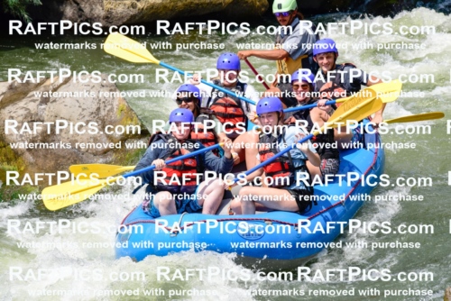 005789_July-24_New-Wave_RAFTPICS_Racecourse-PM_LAOrlando