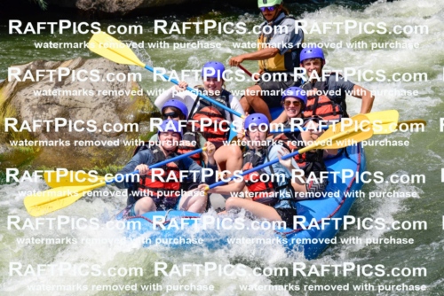 005790_July-24_New-Wave_RAFTPICS_Racecourse-PM_LAOrlando