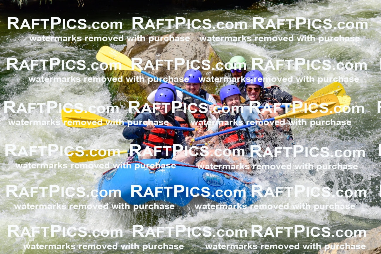 005793_July-24_New-Wave_RAFTPICS_Racecourse-PM_LAOrlando