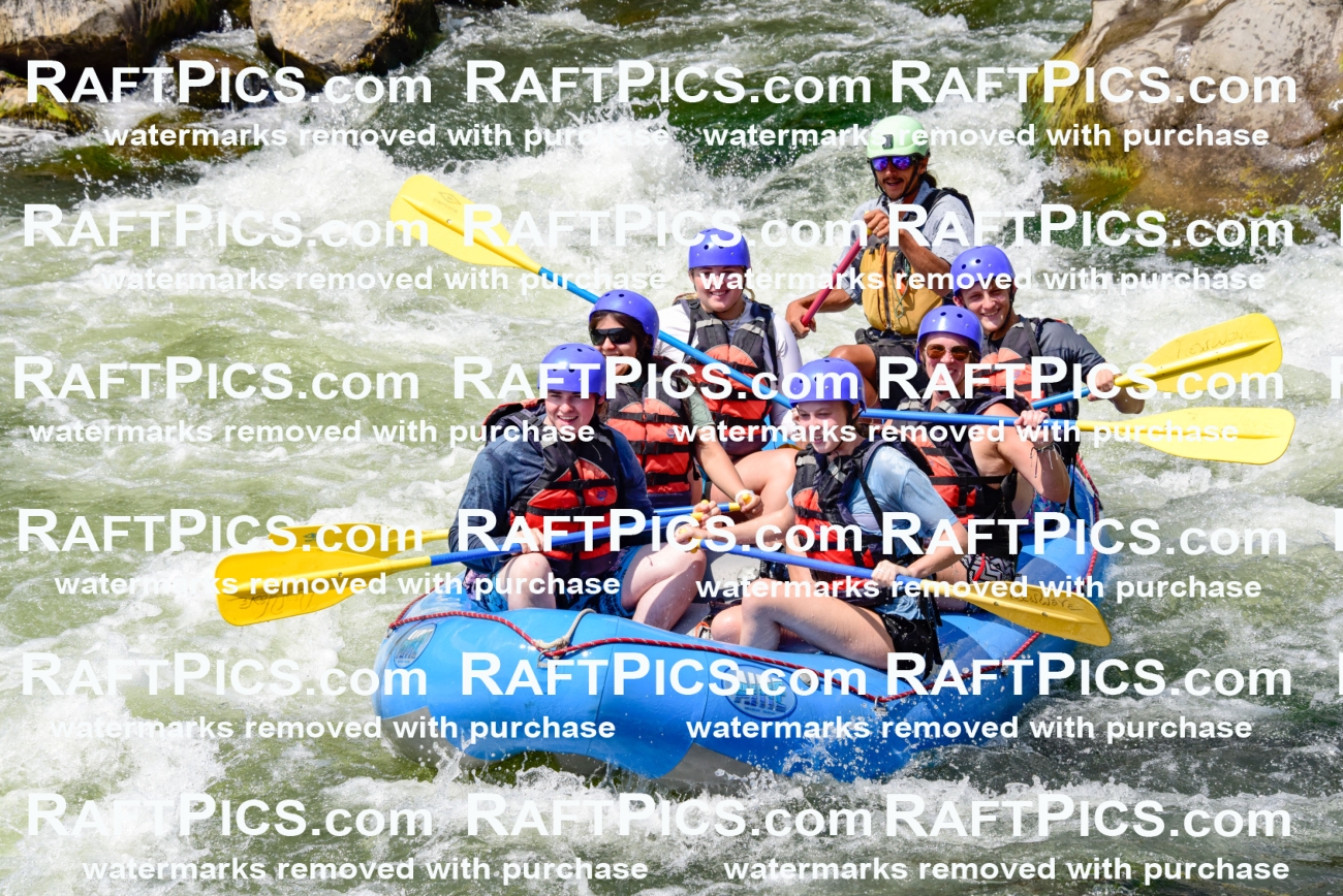 005796_July-24_New-Wave_RAFTPICS_Racecourse-PM_LAOrlando