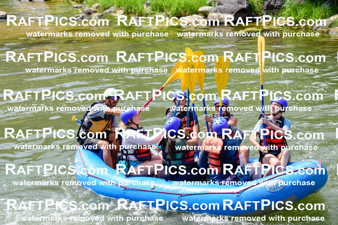 005797_July-24_New-Wave_RAFTPICS_Racecourse-PM_LAOrlando