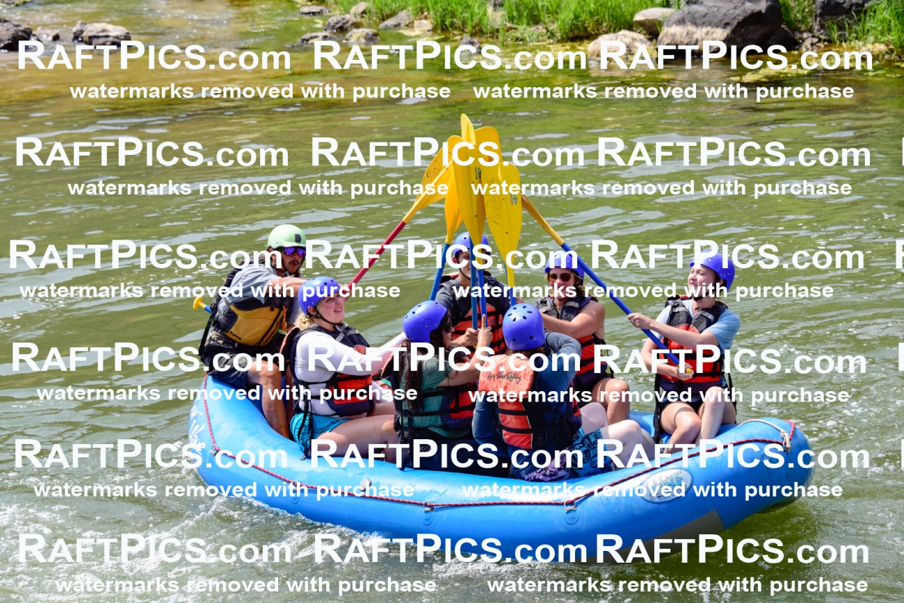 005798_July-24_New-Wave_RAFTPICS_Racecourse-PM_LAOrlando