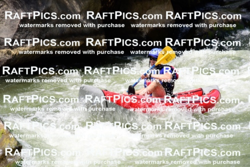 005665_July-24_Los-Rios_RAFTPICS_Racecourse-PM_LAFunyaks-Mordy