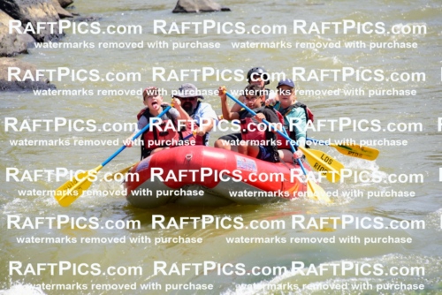 006028_July-25_Los-Rios_RAFTPICS_Racecourse-AM_LABlair