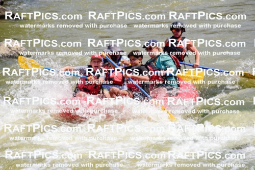 006032_July-25_Los-Rios_RAFTPICS_Racecourse-AM_LABlair