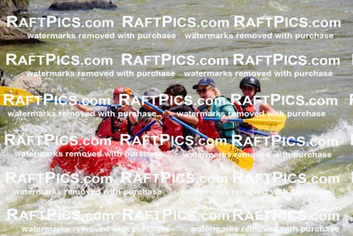 006033_July-25_Los-Rios_RAFTPICS_Racecourse-AM_LABlair