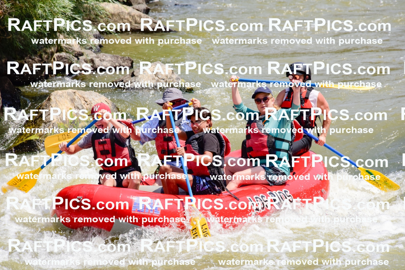 006036_July-25_Los-Rios_RAFTPICS_Racecourse-AM_LABlair