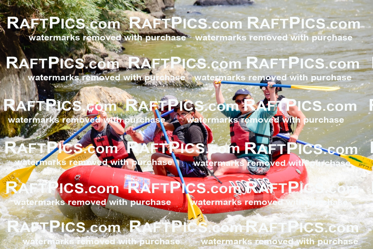 006037_July-25_Los-Rios_RAFTPICS_Racecourse-AM_LABlair