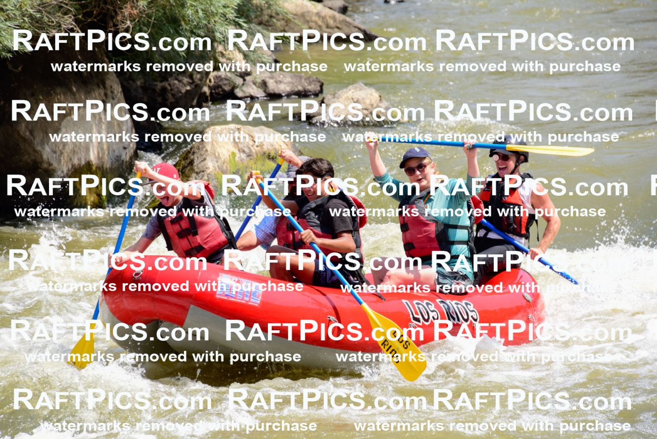 006038_July-25_Los-Rios_RAFTPICS_Racecourse-AM_LABlair