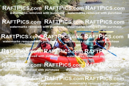 006039_July-25_Los-Rios_RAFTPICS_Racecourse-AM_LABlair