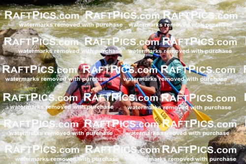 006045_July-25_Los-Rios_RAFTPICS_Racecourse-AM_LABlair