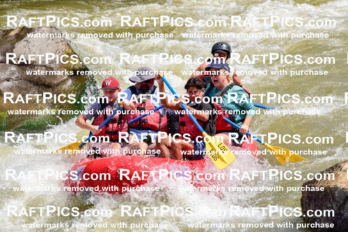 006046_July-25_Los-Rios_RAFTPICS_Racecourse-AM_LABlair