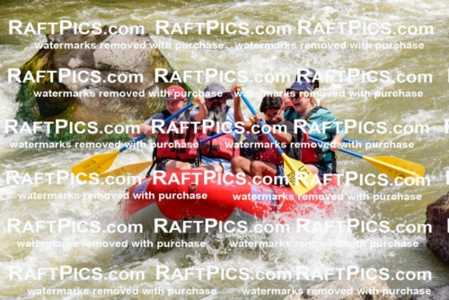 006047_July-25_Los-Rios_RAFTPICS_Racecourse-AM_LABlair