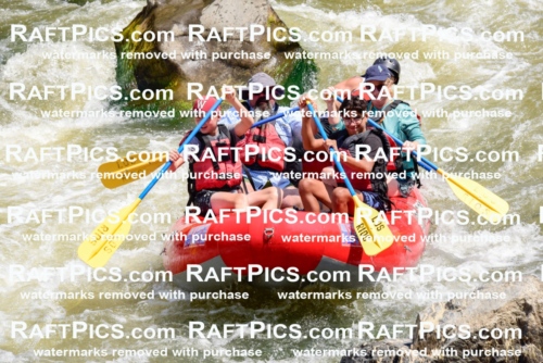 006048_July-25_Los-Rios_RAFTPICS_Racecourse-AM_LABlair