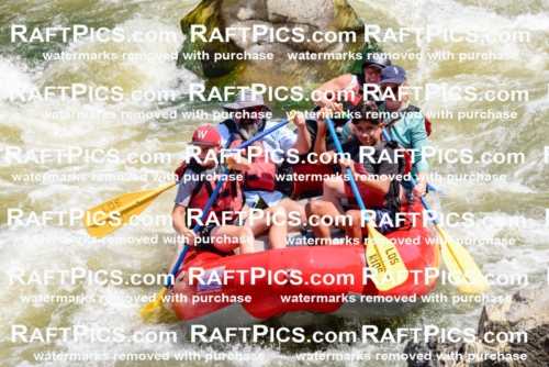 006049_July-25_Los-Rios_RAFTPICS_Racecourse-AM_LABlair